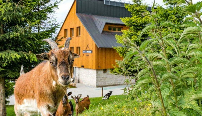 Hotel Premier Janov nad Nisou